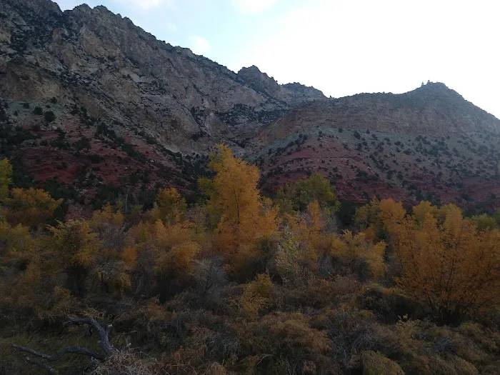 Manns Campground Picture 5