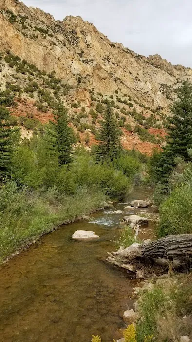 Manns Campground Picture 4