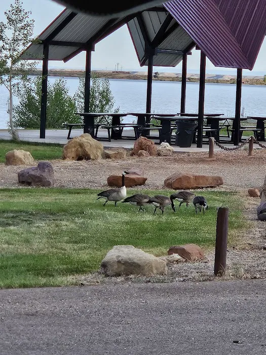 Bottle Hollow Campground Picture 6