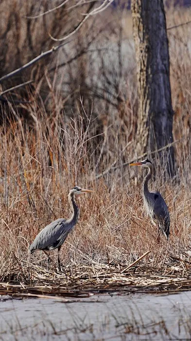 Pelican Lake Campground Picture 10