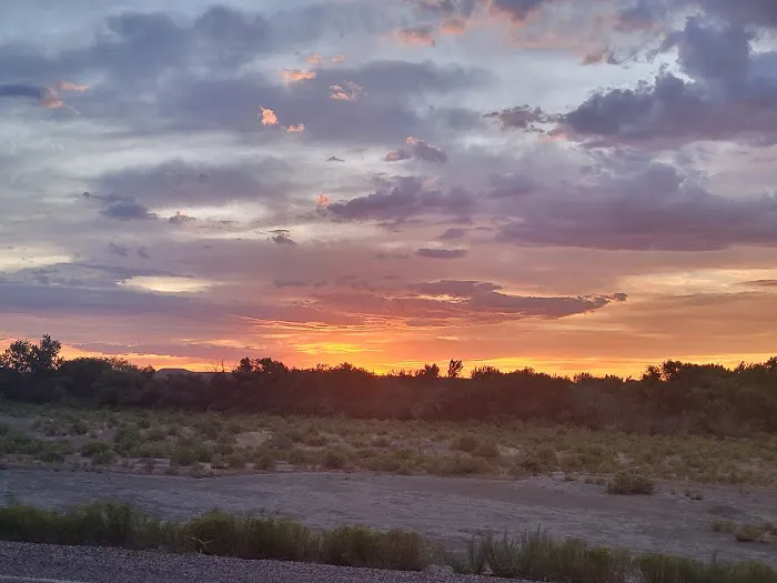 Pelican Lake Campground Picture 5