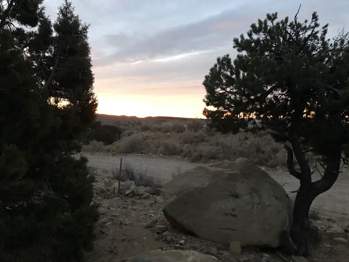 New Joes Camping Area Picture 7