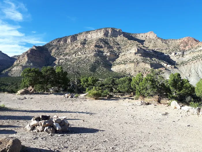 New Joes Camping Area Picture 6