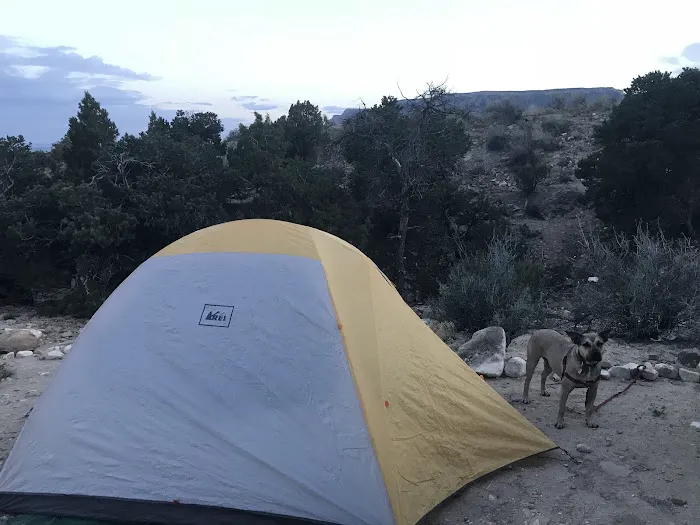 New Joes Camping Area Picture 5