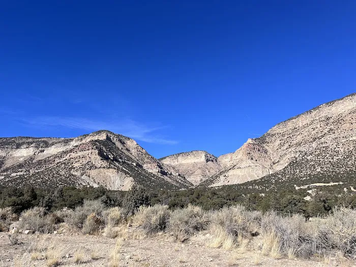 New Joes Camping Area Picture 1