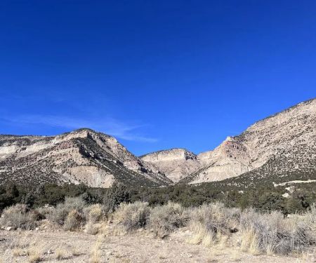 New Joes Camping Area