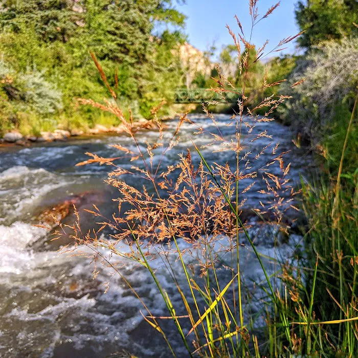 Bear Creek Campground Picture 7