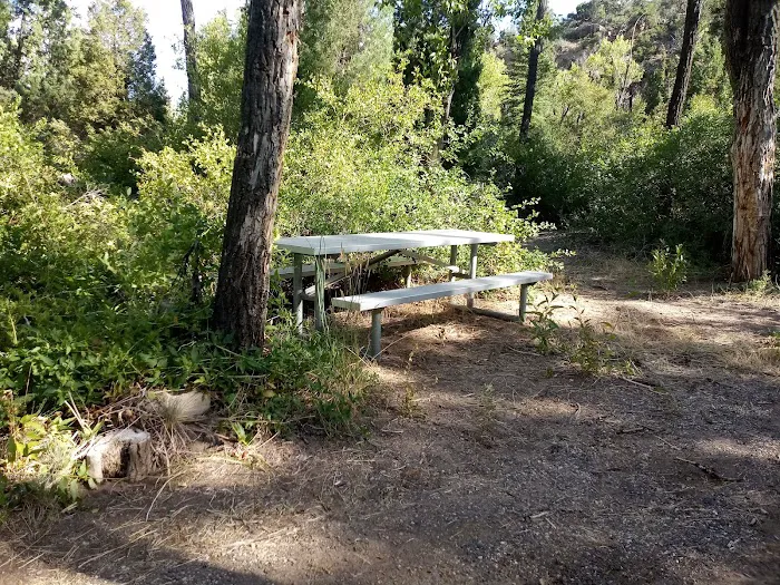 Bear Creek Campground Picture 1