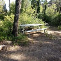 Bear Creek Campground ico
