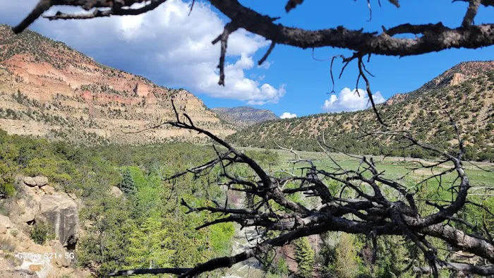 Bear Creek Campground Picture 8