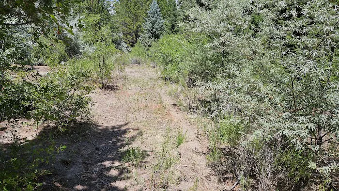 Dancing Pines South Side Picture 4