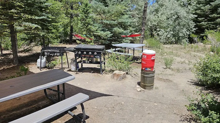 Dancing Pines South Side Picture 5