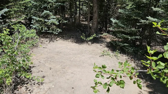 Dancing Pines South Side Picture 10