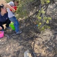 Range Creek Trailhead Campground ico