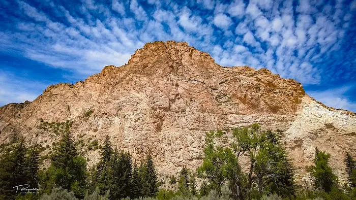 Sheep Creek Bay Campground Picture 10