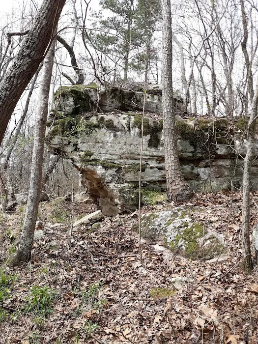 Whippoorwill Creek Ranch Picture 7