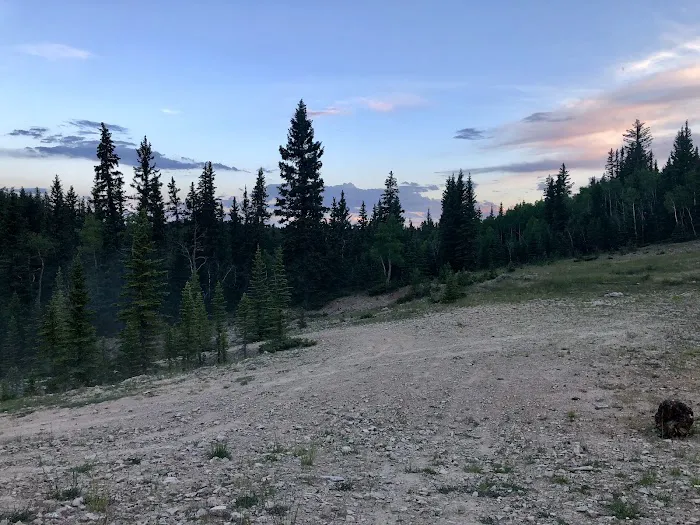 Iron Springs Group Campground Picture 8