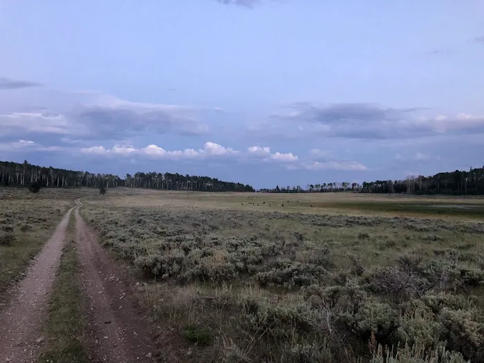 Iron Springs Group Campground Picture 4