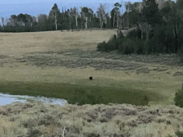 Iron Springs Group Campground Picture 2