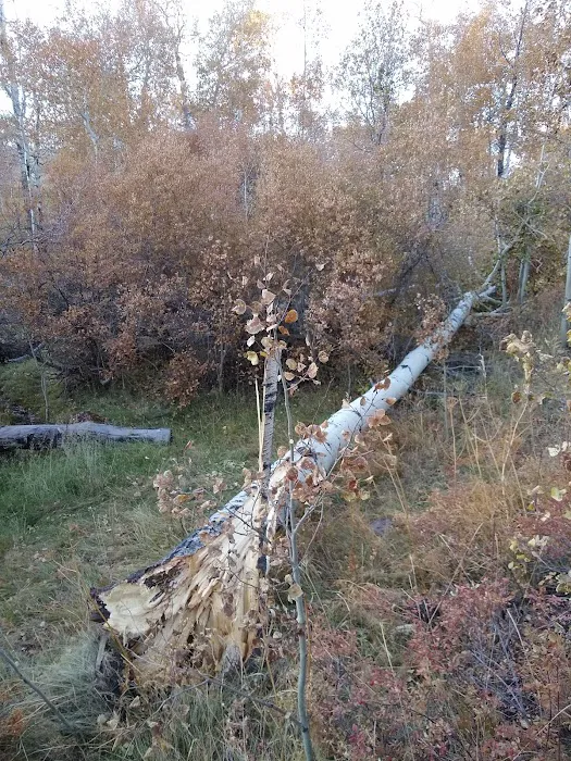 Colton Guard Station Picture 1