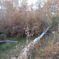 Colton Guard Station ico