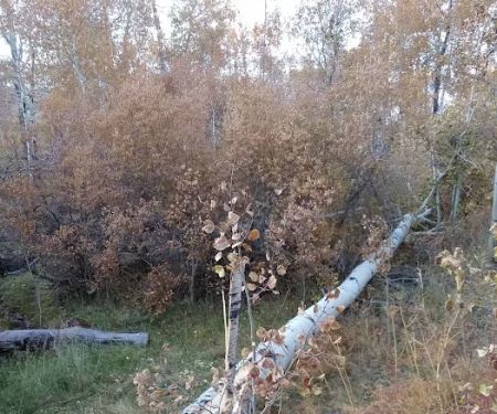 Colton Guard Station