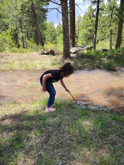 Skull Creek Campground Picture 5