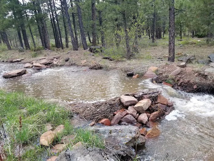 Skull Creek Campground Picture 7