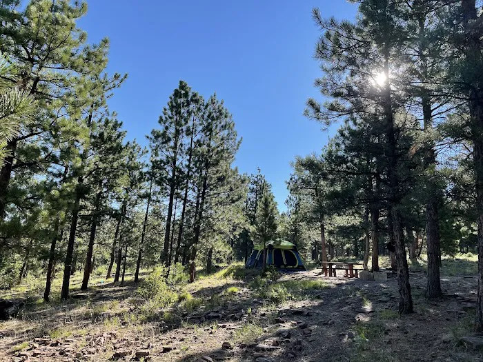 Skull Creek Campground Picture 4