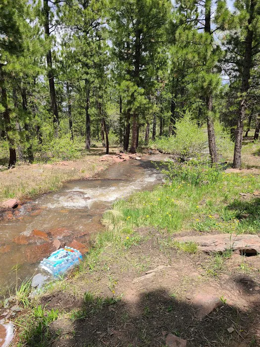 Skull Creek Campground Picture 6