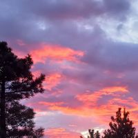 Skull Creek Campground ico