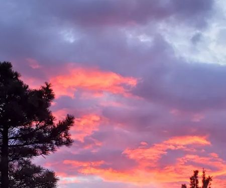 Skull Creek Campground