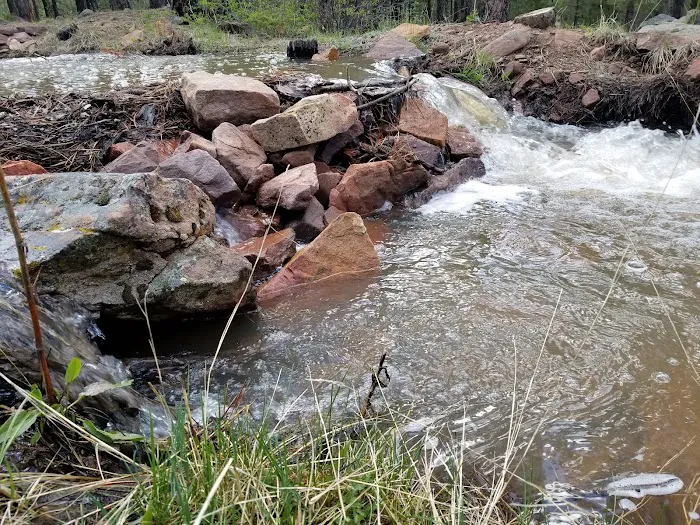 Skull Creek Campground Picture 3