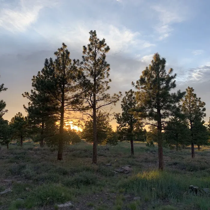 Red Canyon Campground Picture 4