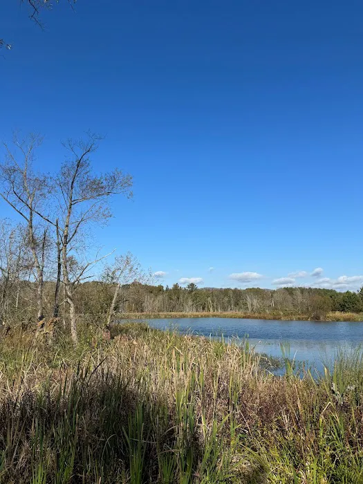 Sweetwater Tiny Home Community Picture 1