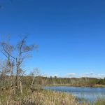 Sweetwater Tiny Home Community