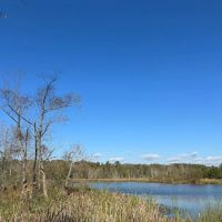 Sweetwater Tiny Home Community ico