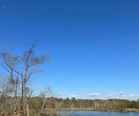 Sweetwater Tiny Home Community