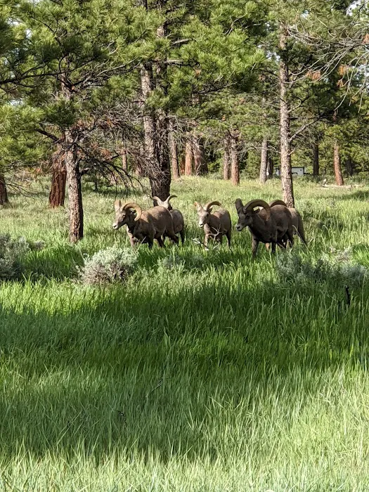 Canyon Rim Campground Picture 10