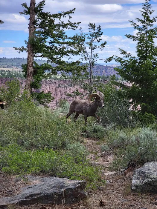 Canyon Rim Campground Picture 9
