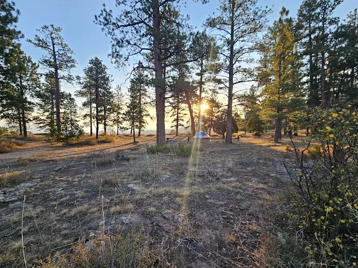 Canyon Rim Campground Picture 5