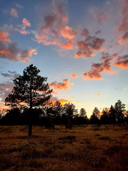 Canyon Rim Campground Picture 7
