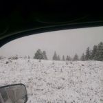 Red Springs Campground