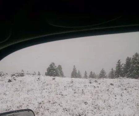 Red Springs Campground