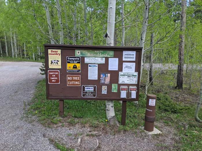 Lodgepole Campground Picture 4