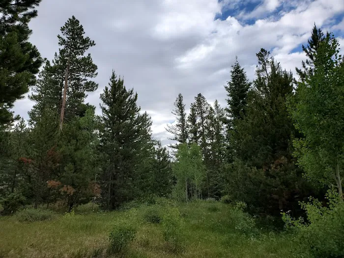 Lodgepole Campground Picture 1