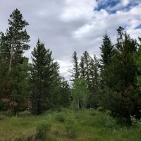 Lodgepole Campground ico