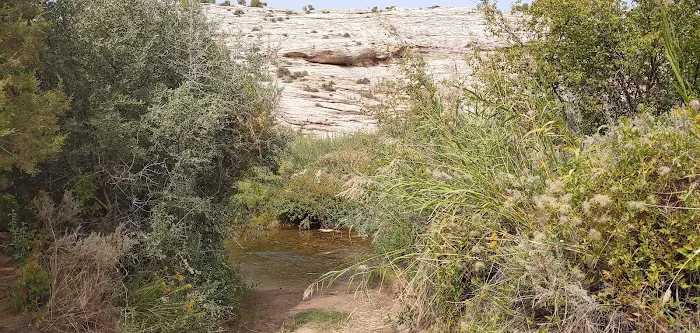 Red Fleet Campground Picture 9