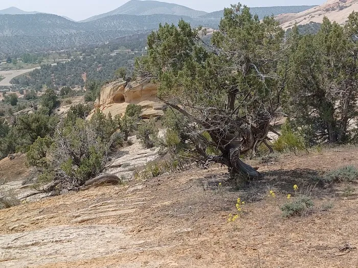 Red Fleet Campground Picture 7