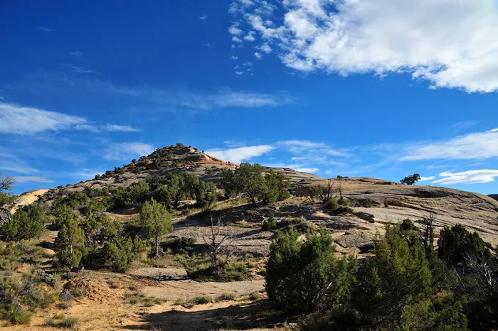 Red Fleet Campground Picture 2